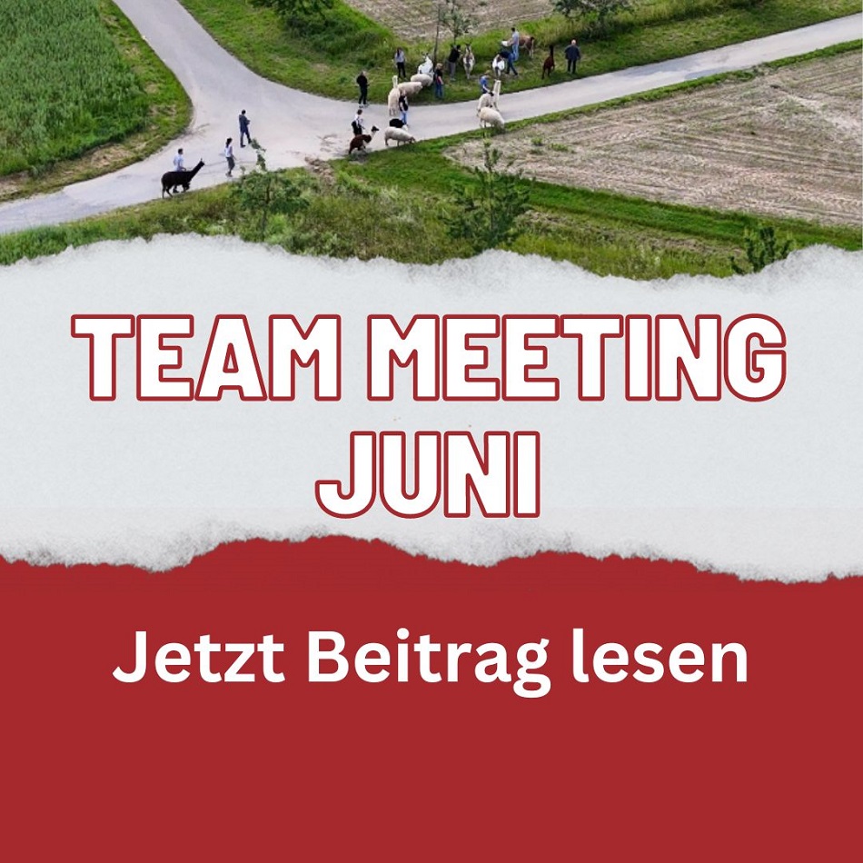 Team Meeting June 2024 MJR