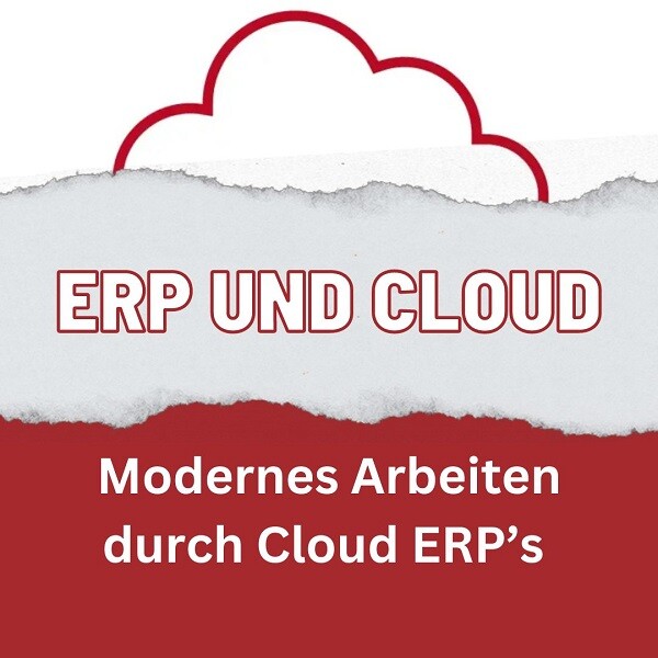 ERP cloud infor LN