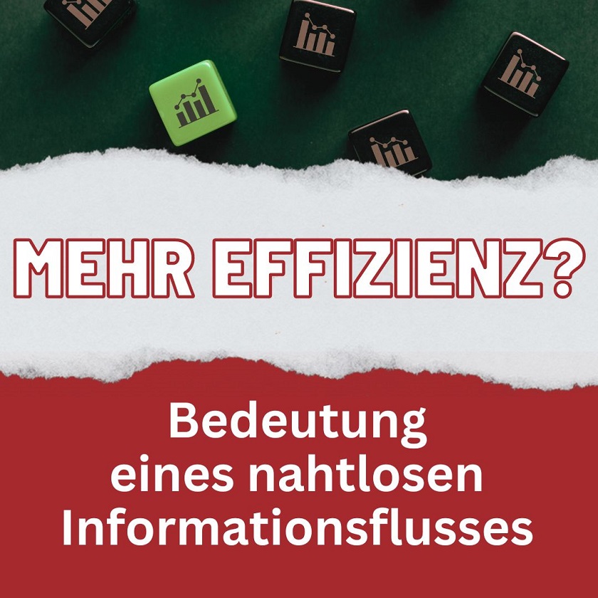 mjr effizienz erp system