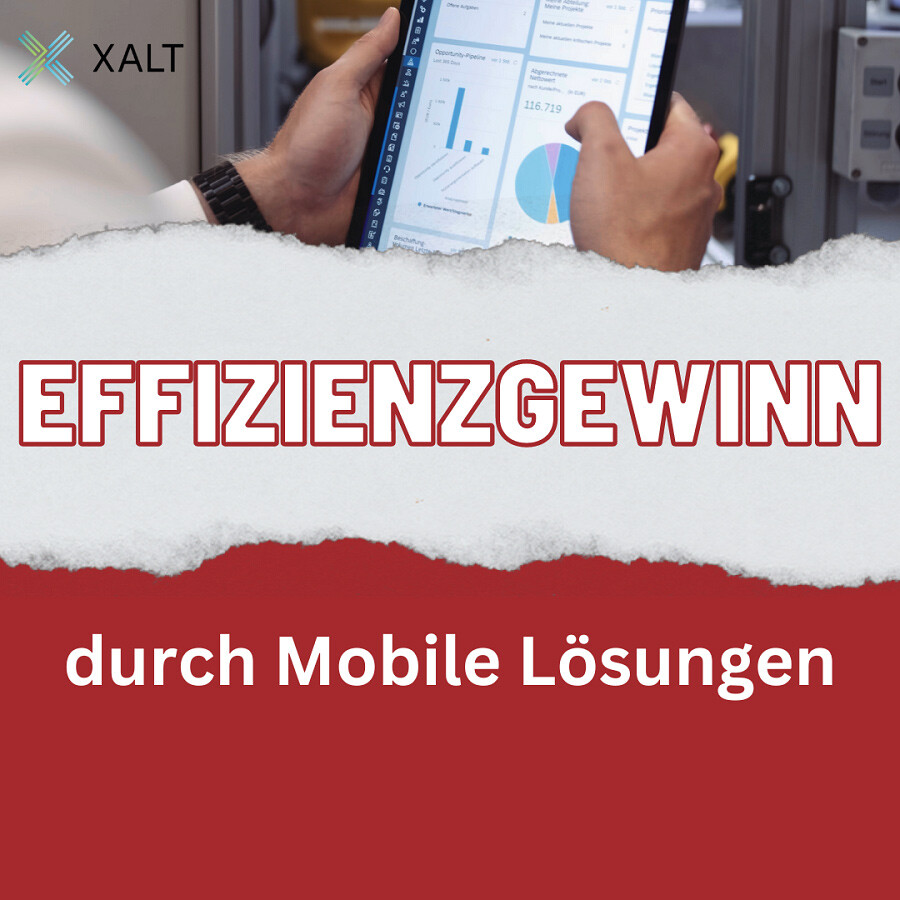 Effizienzgewinne Xalt hexagon