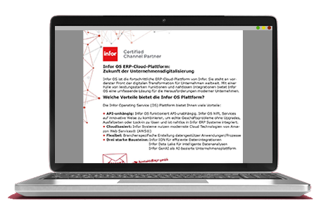Laptop Factsheet Infor ION mjr