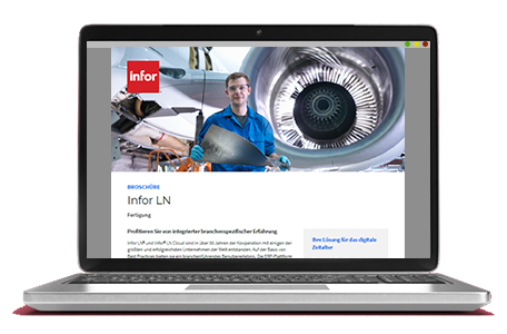 Factsheet broschüre mjr InforLN