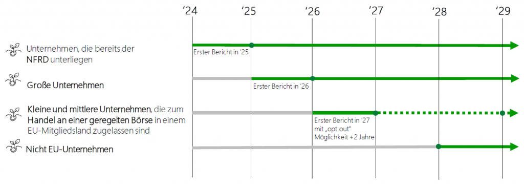 csrd timeline hypt mjr