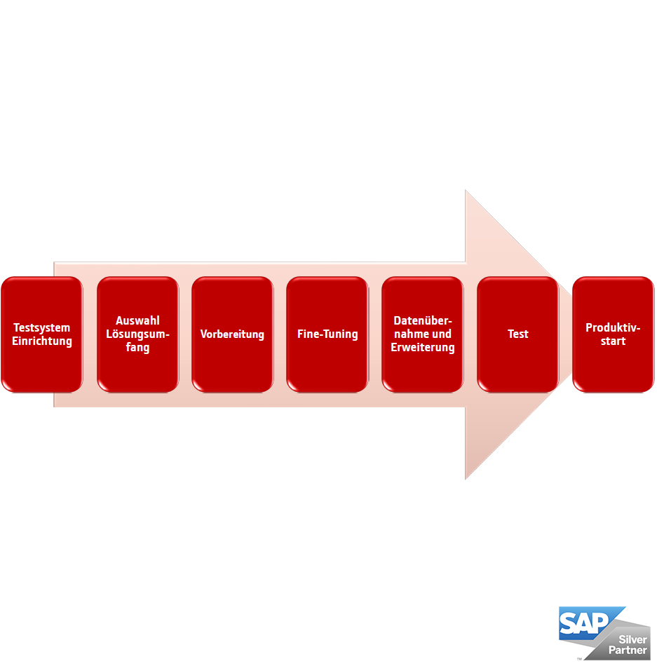 implementierung_sap_byd_mjr