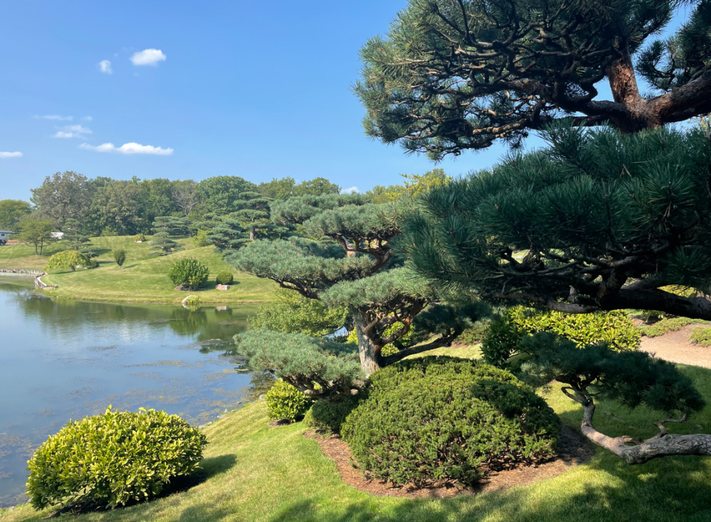 park_chicago mjr inpower 2022