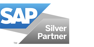 sap silver partner